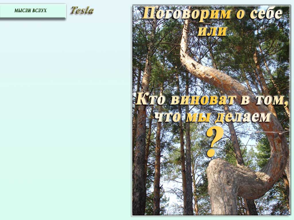 ��������� � ���� ��� - ����� ����� - �������� �5